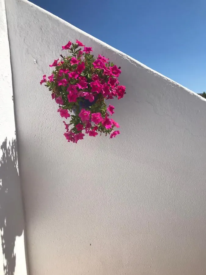 Apartment Bonita Casa Adosada Empuriabrava Spanien